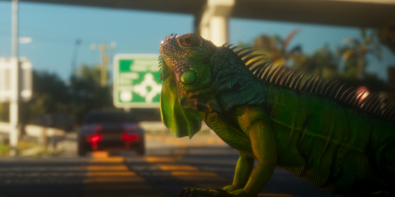 An iguana in the middle of a road